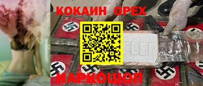 прущие грибы Бийск