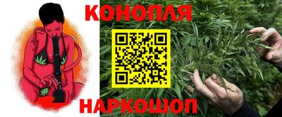 прущие грибы Бийск