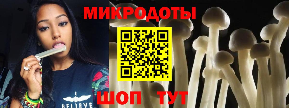 купить наркотик  Галлюциногенные грибы Cubensis  Берёзовский  Псилоцибиновые грибы Psilocybe 